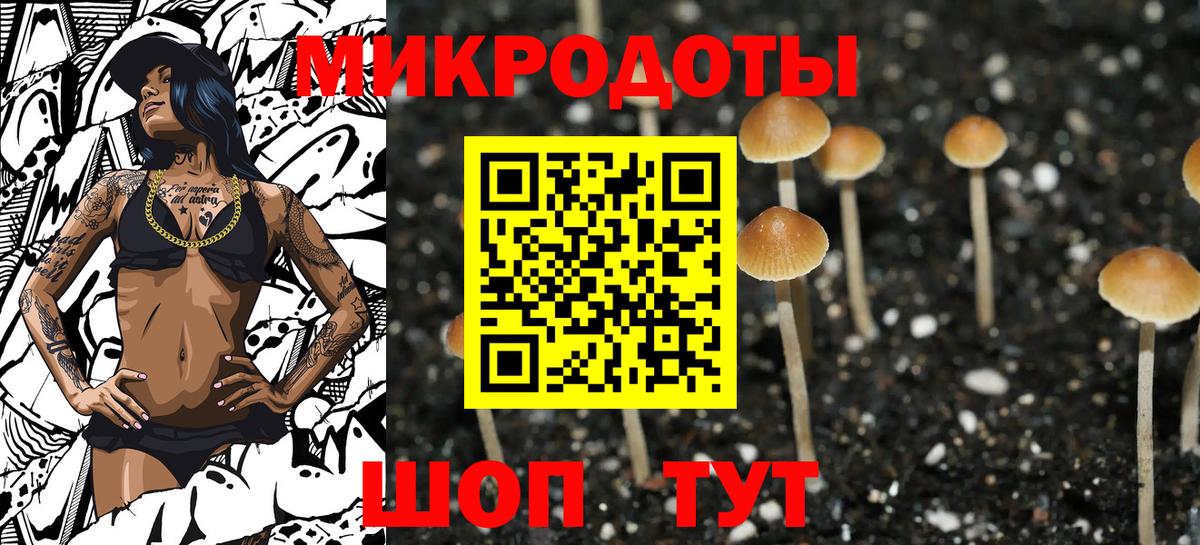 Галлюциногенные грибы Psilocybine cubensis  Вход с VPN  Ростов Великий 