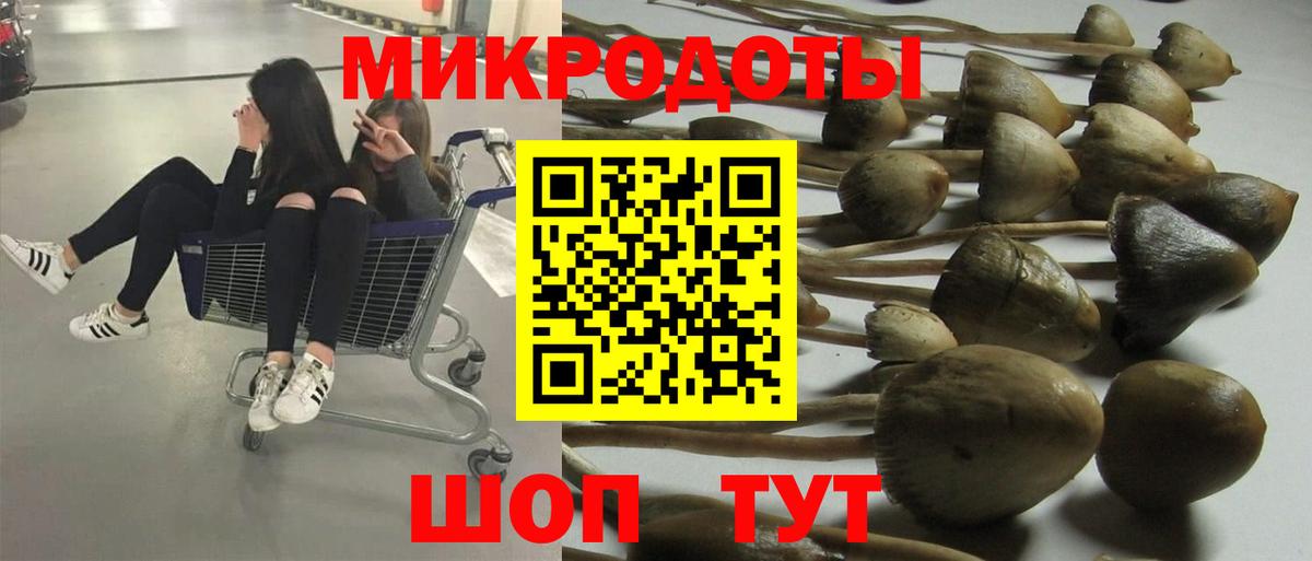 Галлюциногенные грибы Psilocybe Ростов Великий